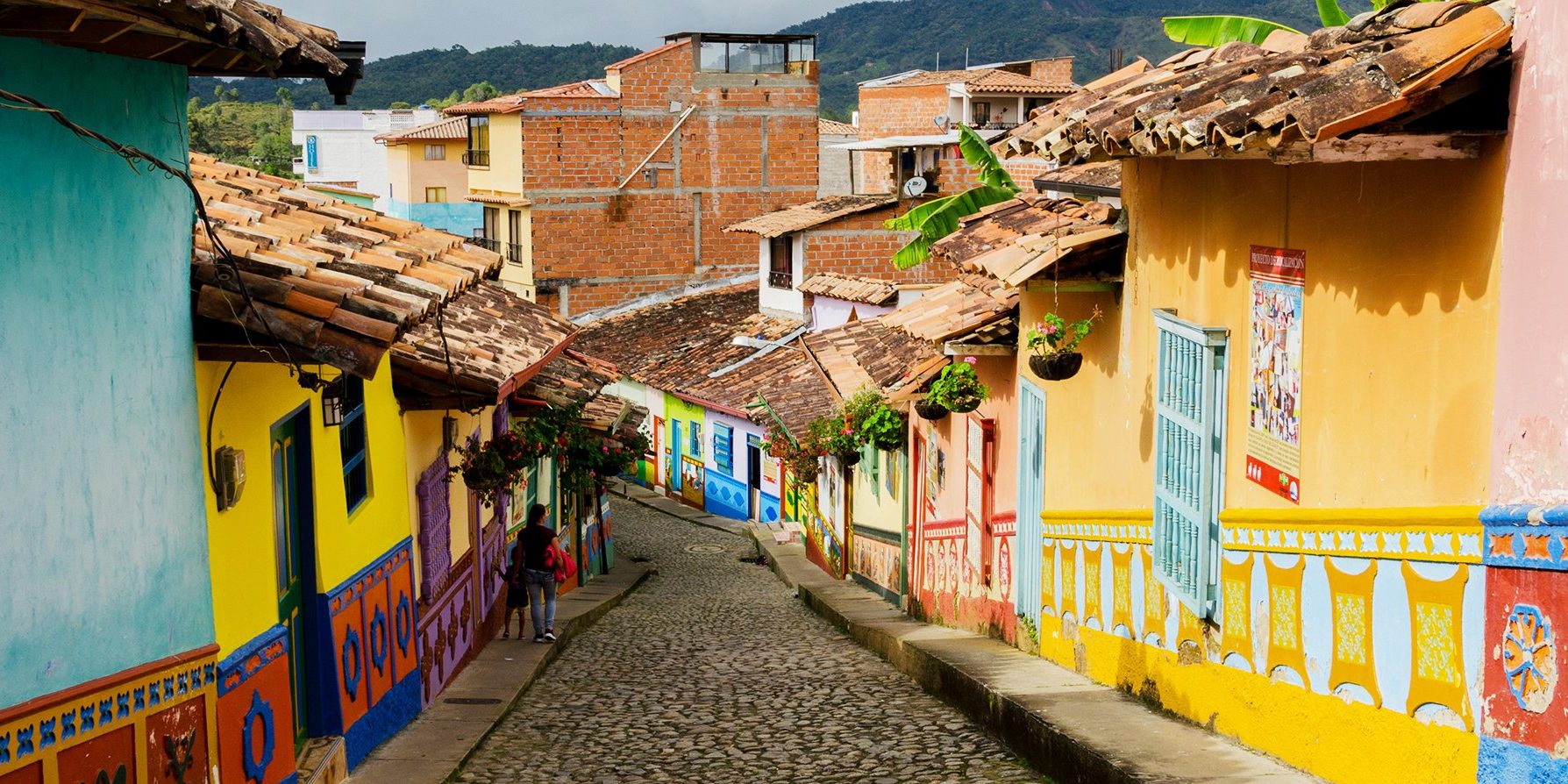 colombi